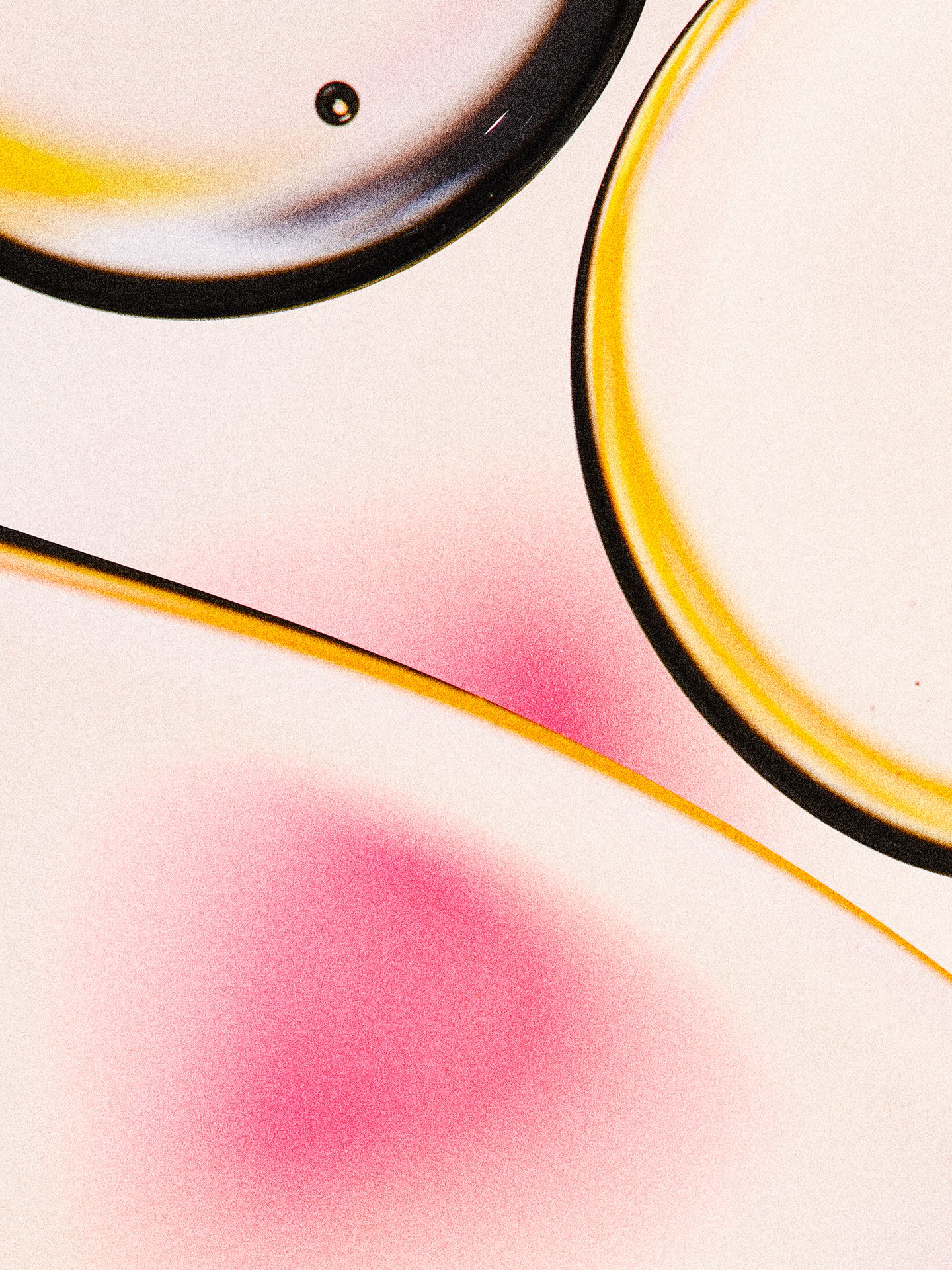 Jody Asano x Dichen Chen — Beauty Products Still Life by Di Chen Chen