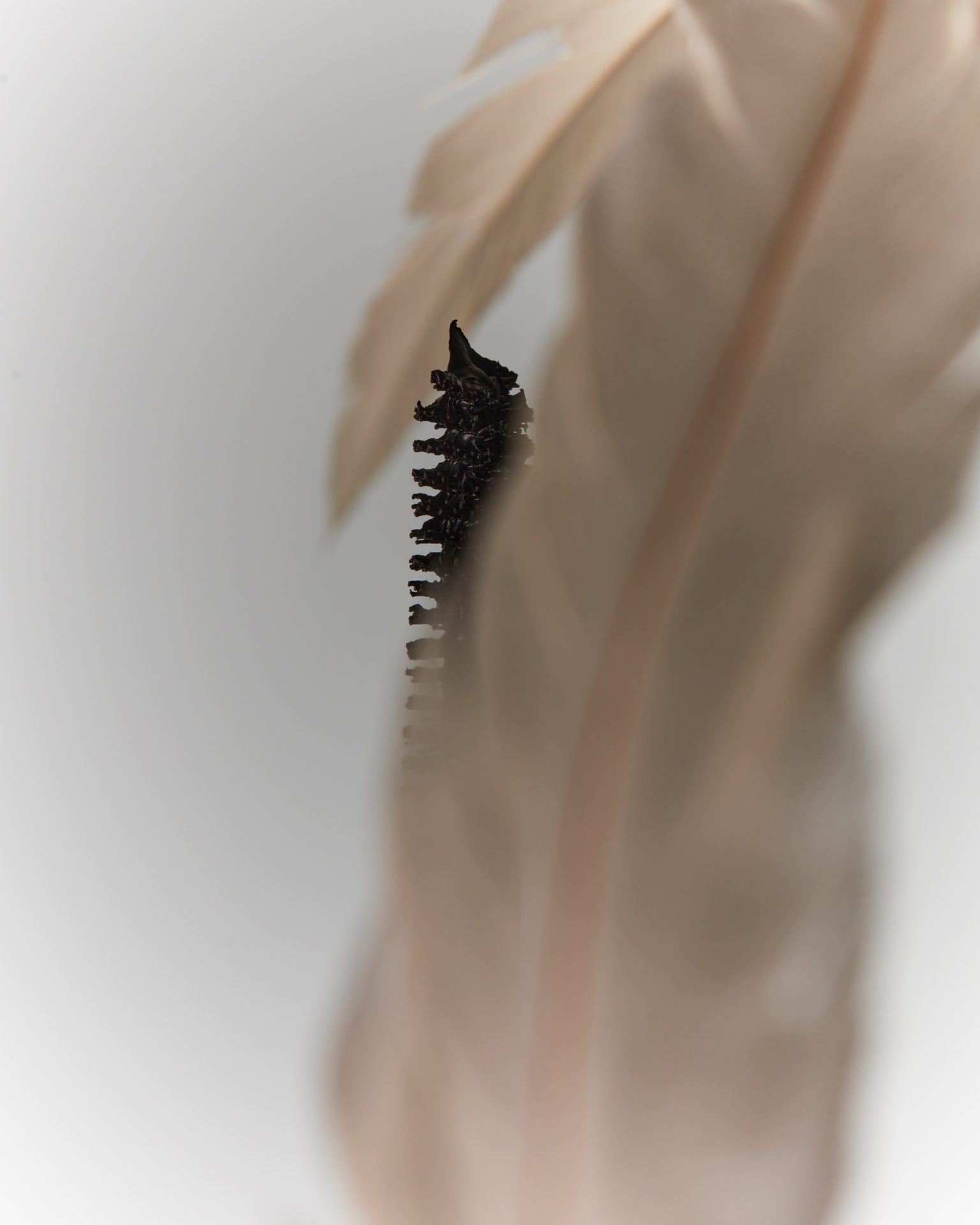 Kylie Cosmetics Wisp — Beauty Still Life Photography by Di Chen Chen
