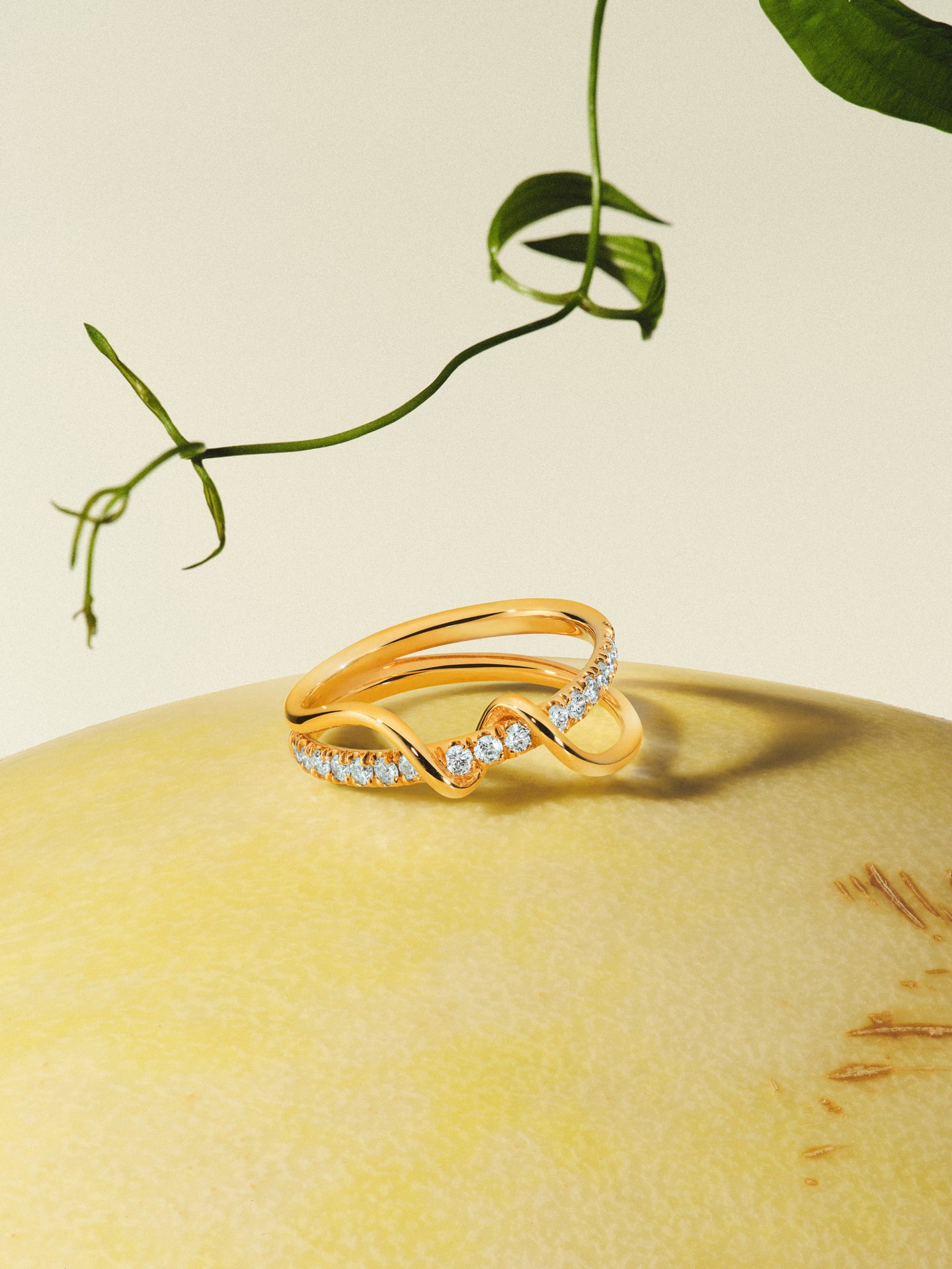 De Vos Jewelry Still Life 2 — Jewelry Still Life Photography by Di Chen Chen