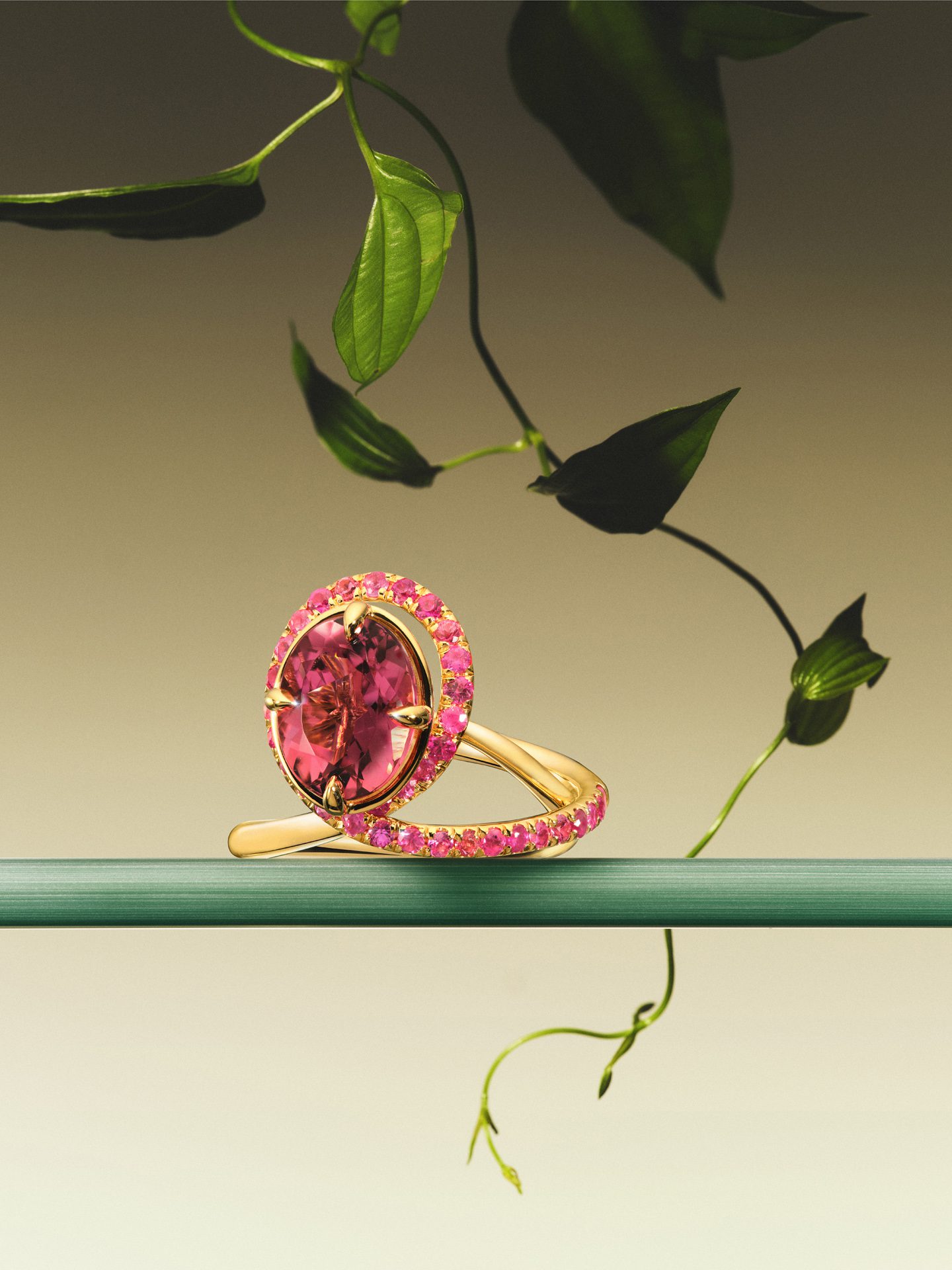 De Vos Jewelry Still Life 2 — Jewelry Still Life Photography by Di Chen Chen