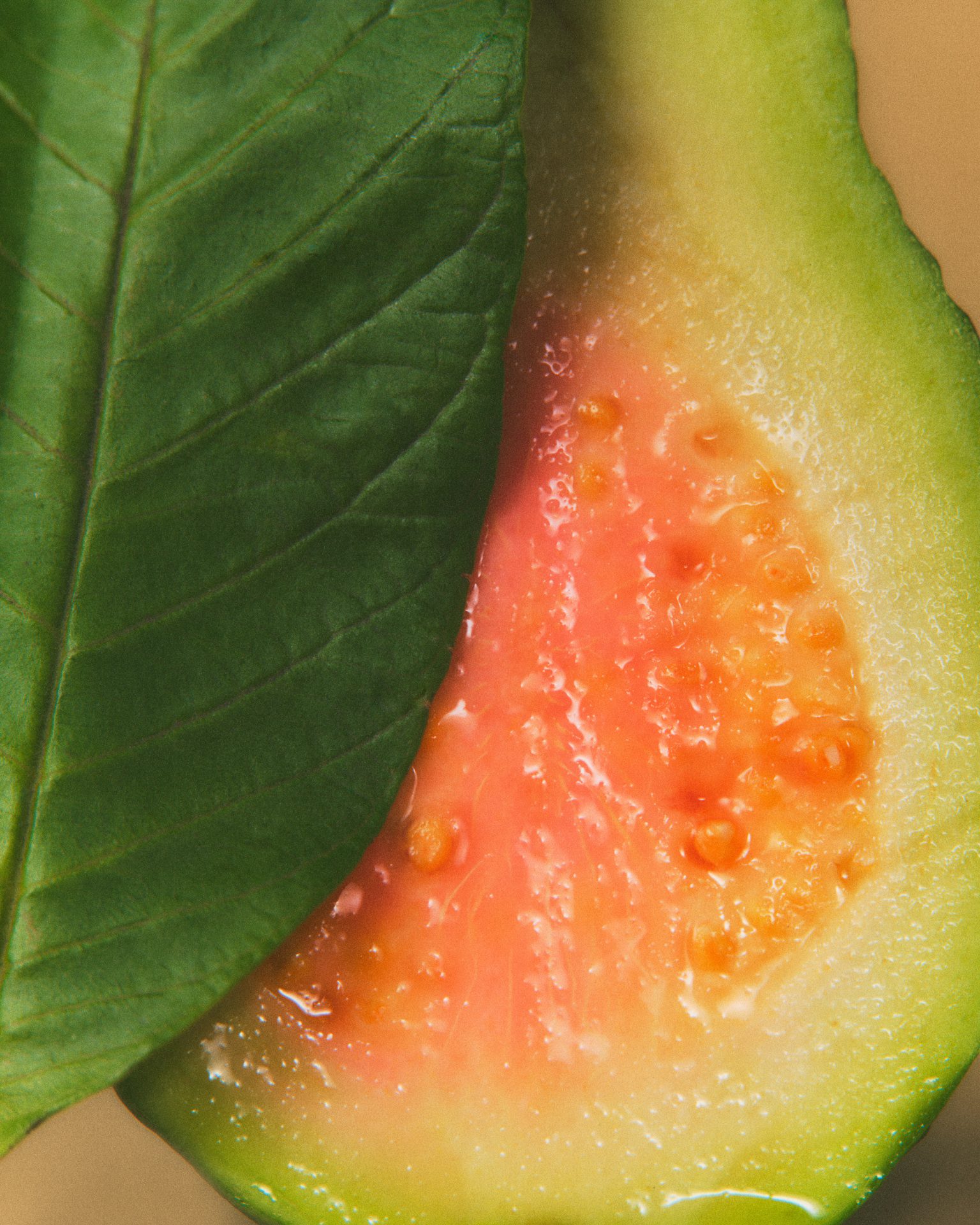 Ceremonia Guava Collection — Beauty Still Life Photography by Di Chen Chen
