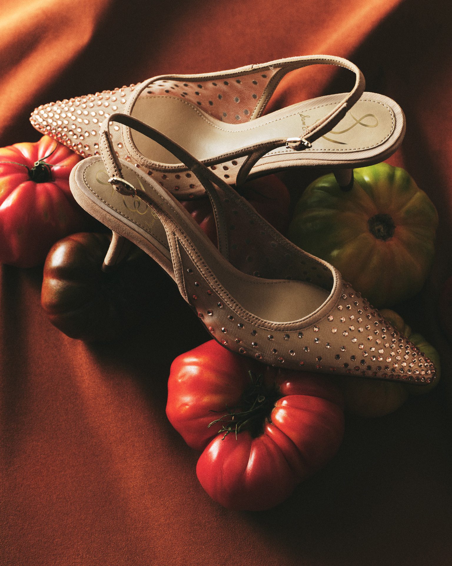 Sam Edelman Fall 2024-2 — Fashion Still Life Photography by Di Chen Chen
