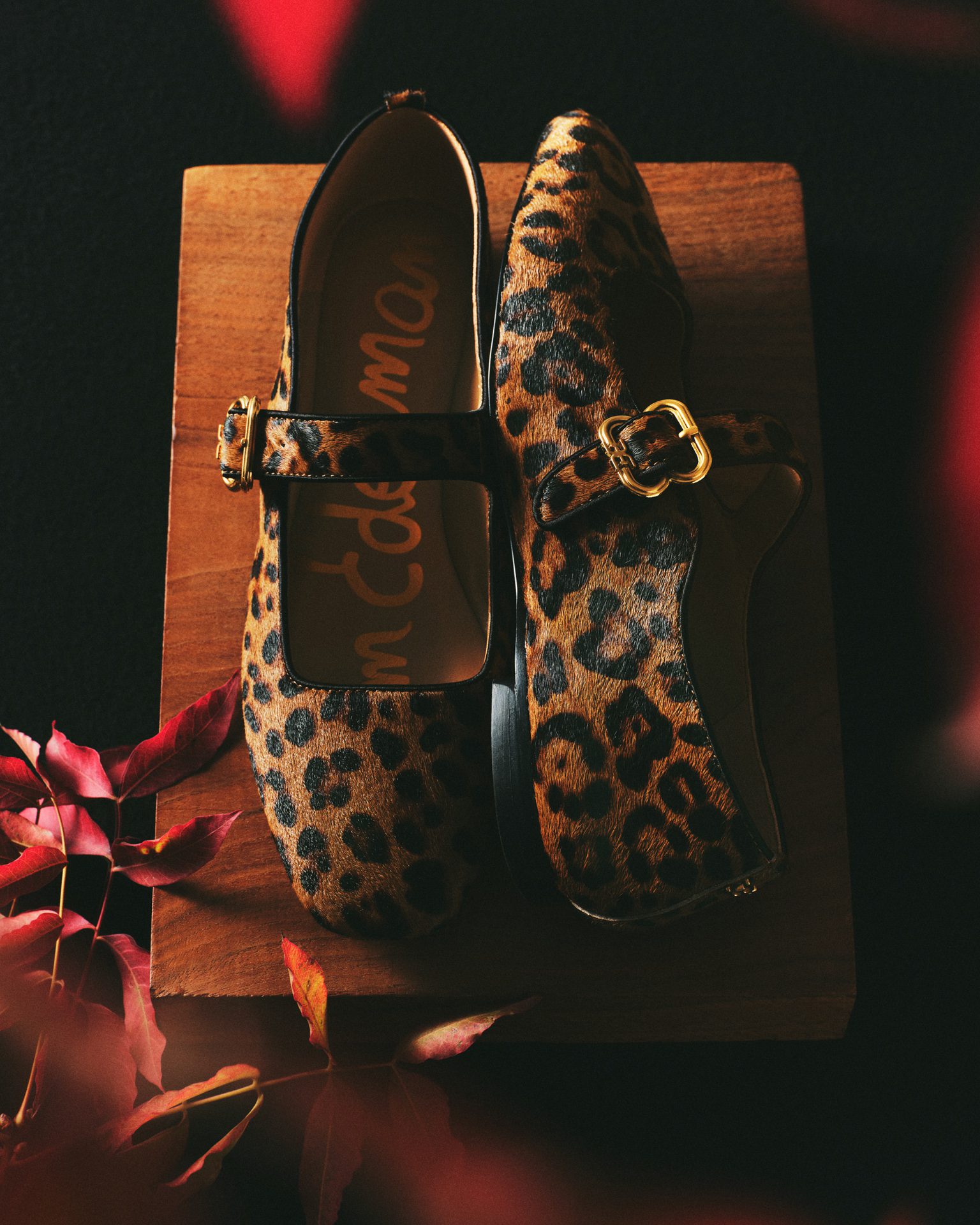 Sam Edelman Fall 2024-2 — Fashion Still Life Photography by Di Chen Chen