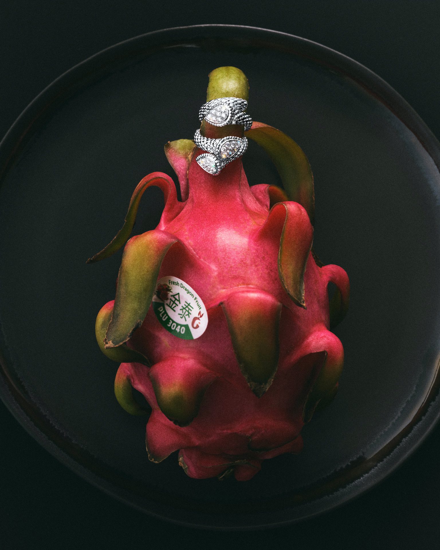 Family Style 2025 Lunar New Year Editorial 2 by Di Chen Chen