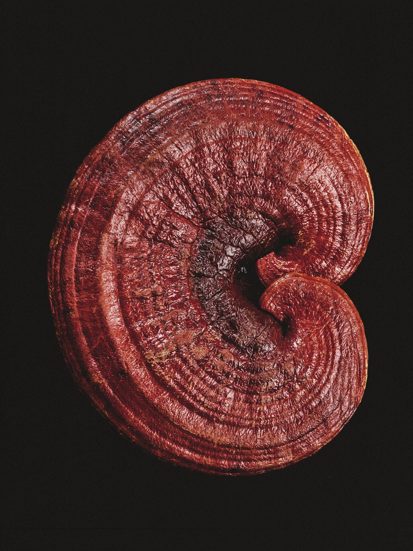 Atlas Coffee Club — Food Photography by Di Chen Chen