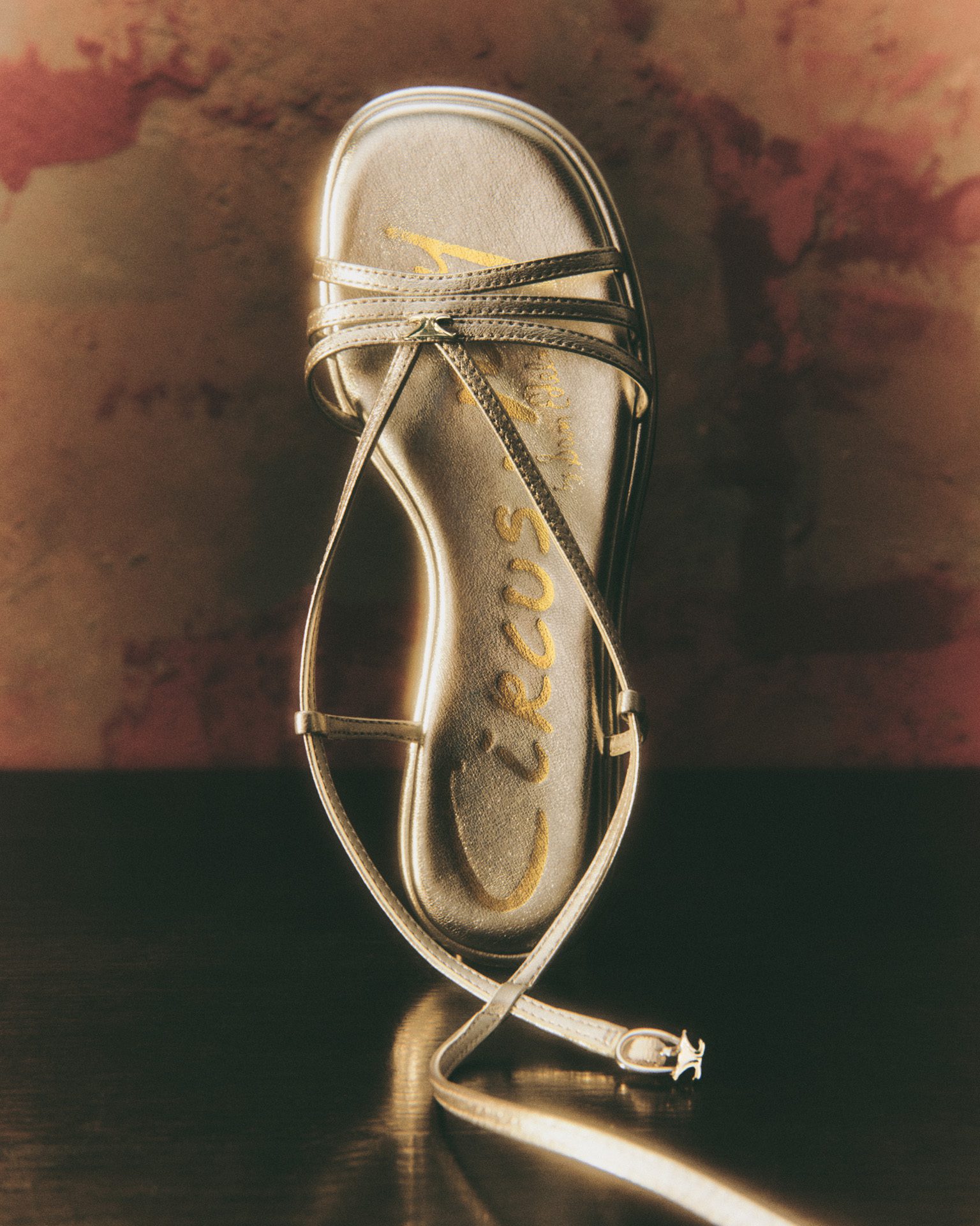 Circus SS25-2 — fashion Still Life Photography by Di Chen Chen