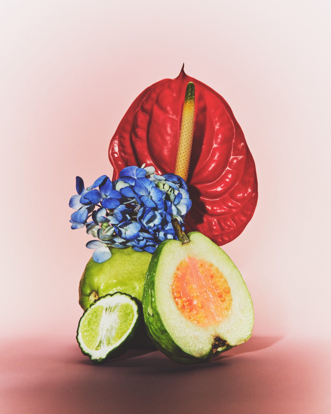 Le Monde Gourmand Coterie 2 — Fragrance Still Life Photography by Di Chen Chen