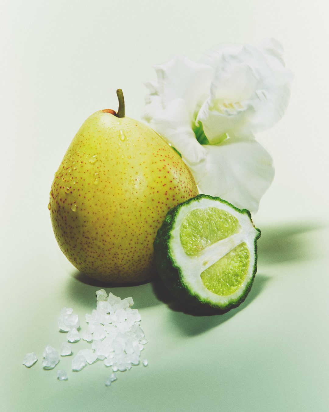 Le Monde Gourmand Coterie 2 — Fragrance Still Life Photography by Di Chen Chen