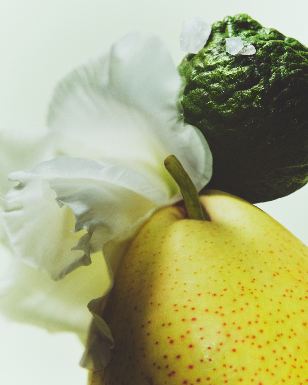 Le Monde Gourmand Coterie 2 — Fragrance Still Life Photography by Di Chen Chen