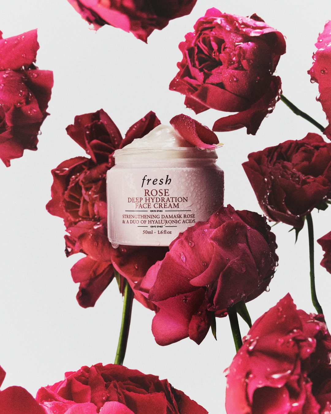 Fresh Beauty Rose — Beauty Still Life Photography by Di Chen Chen