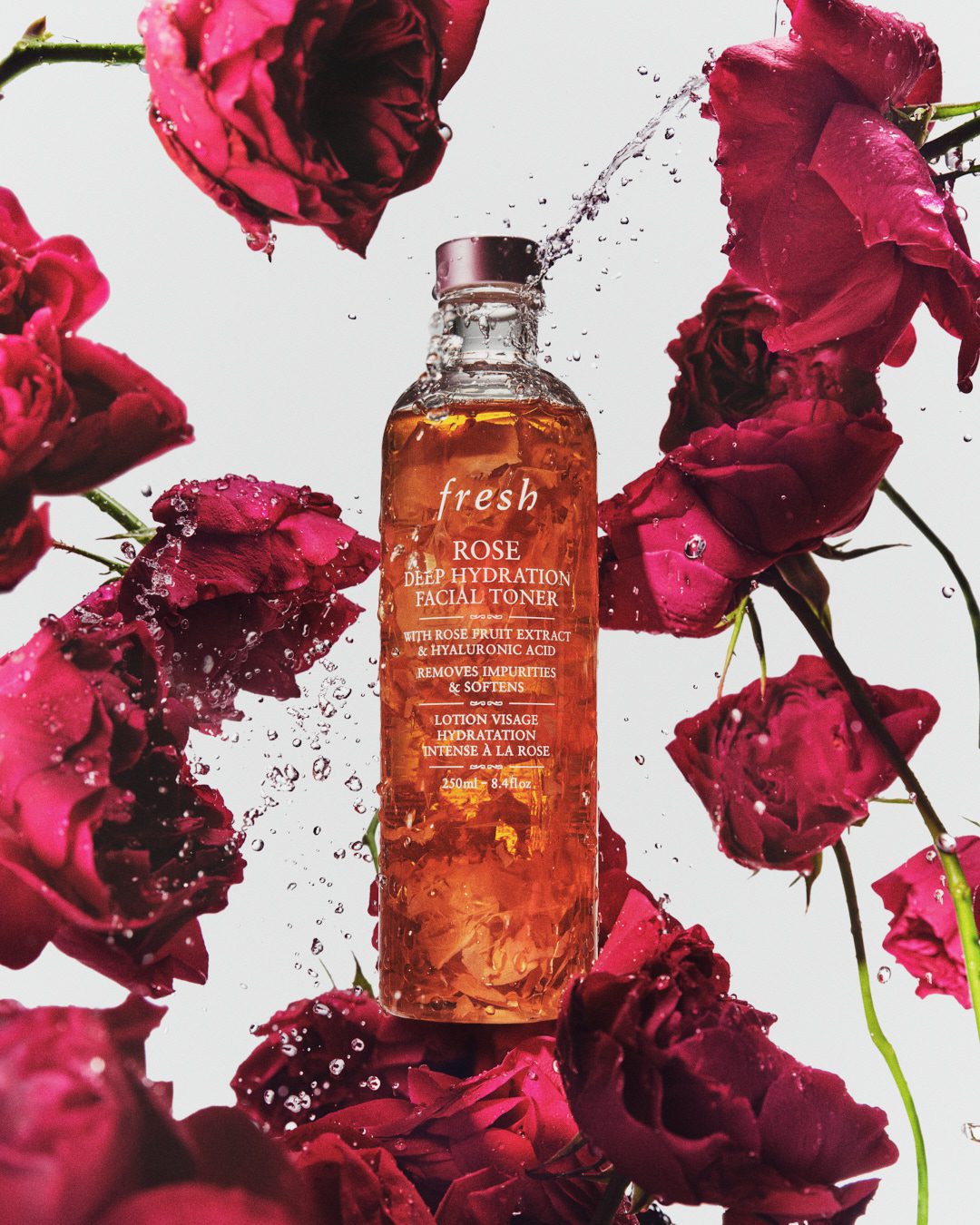 Fresh Beauty Rose — Beauty Still Life Photography by Di Chen Chen