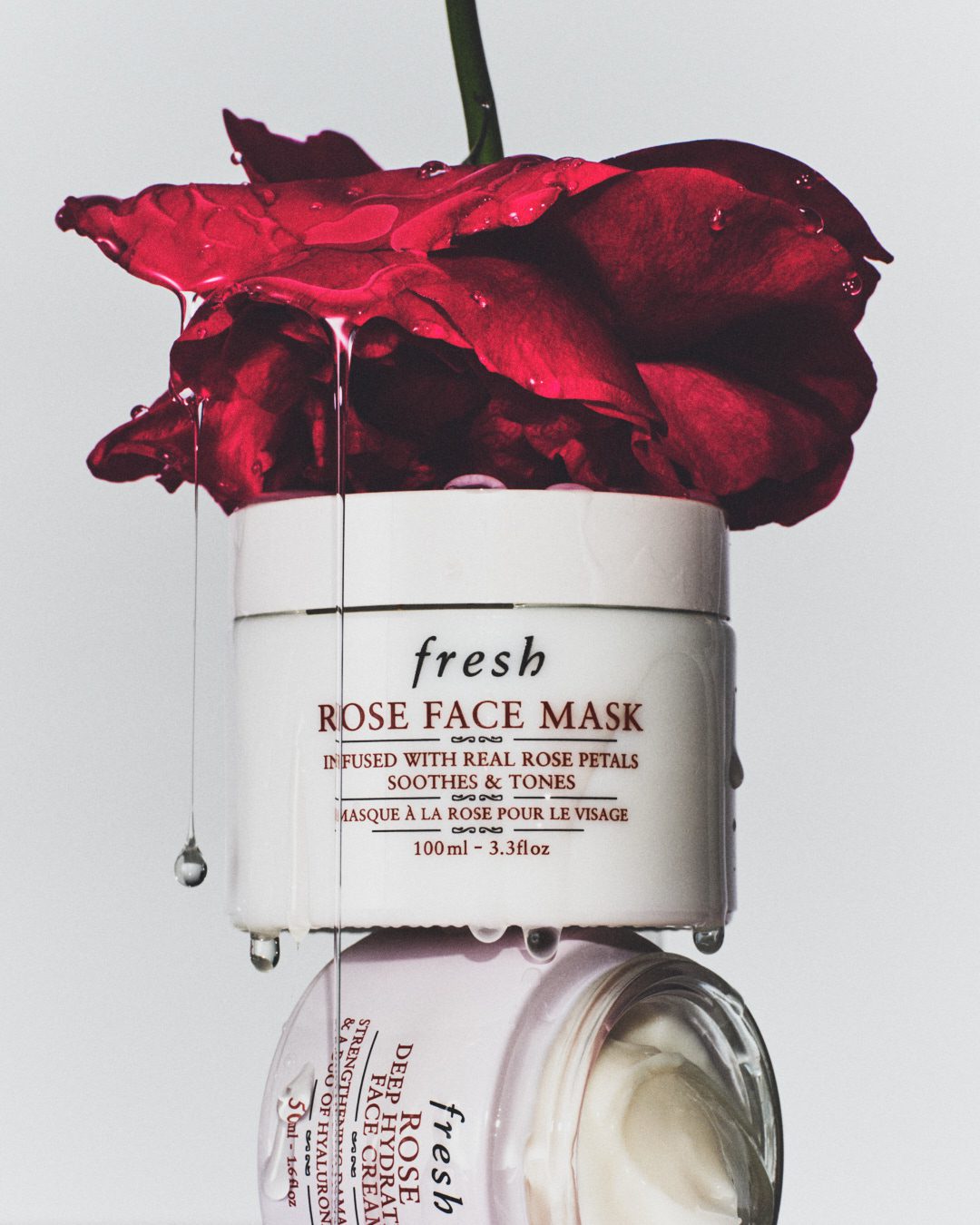 Fresh Beauty Rose — Beauty Still Life Photography by Di Chen Chen