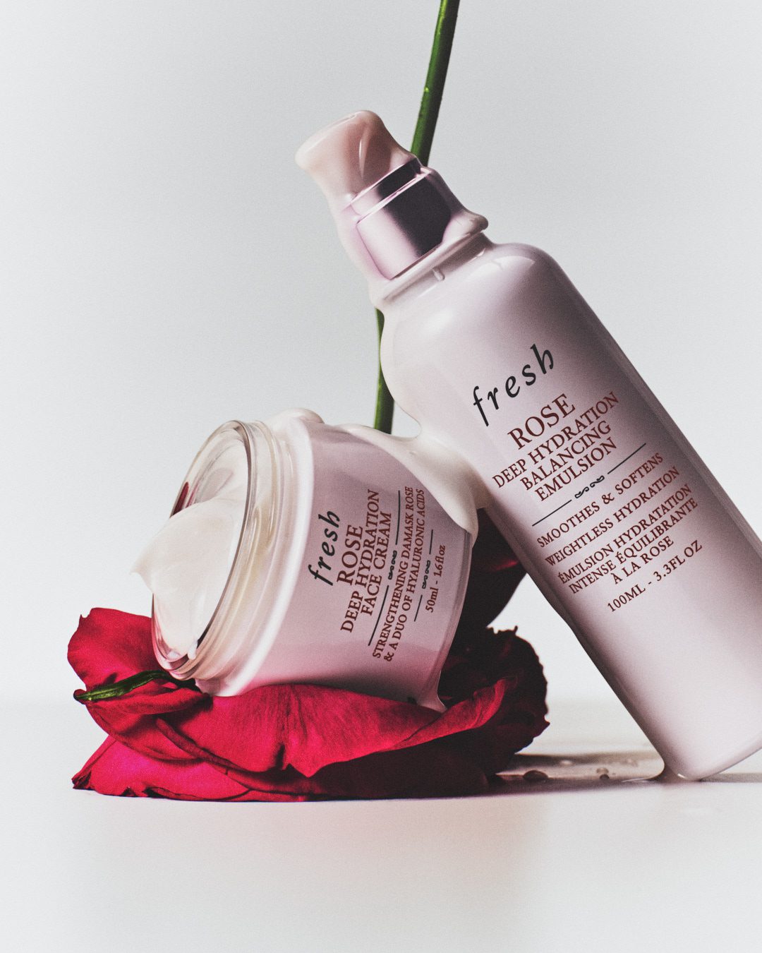 Fresh Beauty Rose — Beauty Still Life Photography by Di Chen Chen