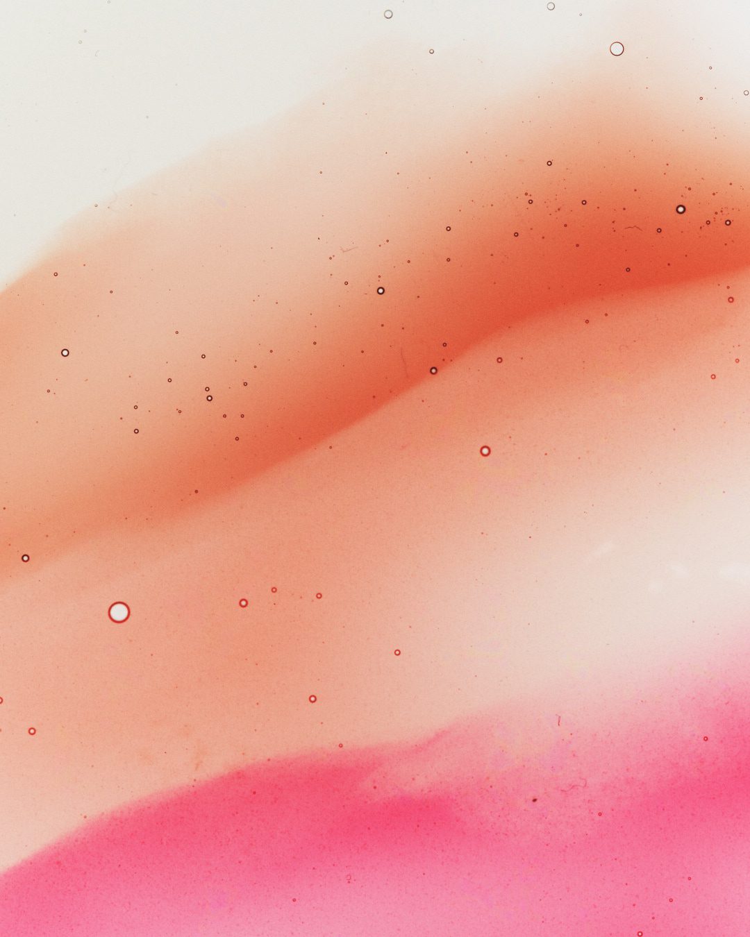 Kylie Cosmetics Pomegranate Lip Butter — Beauty Still Life Photography by Di Chen Chen